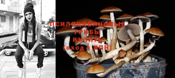 крисы Армянск