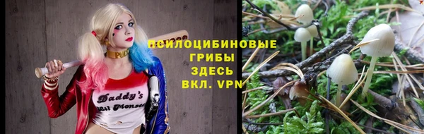 Альфа ПВП Зеленокумск