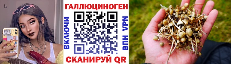 наркота  Выкса  Галлюциногенные грибы ЛСД 
